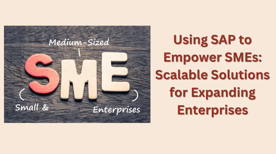Using SAP to Empower SMEs